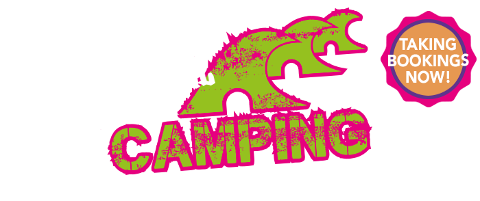 Croyde Festival Camping 2024.png